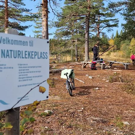 Ro I Sjelen. Hytte Til Leie Pa Skrim. Kongsberg Exterior photo