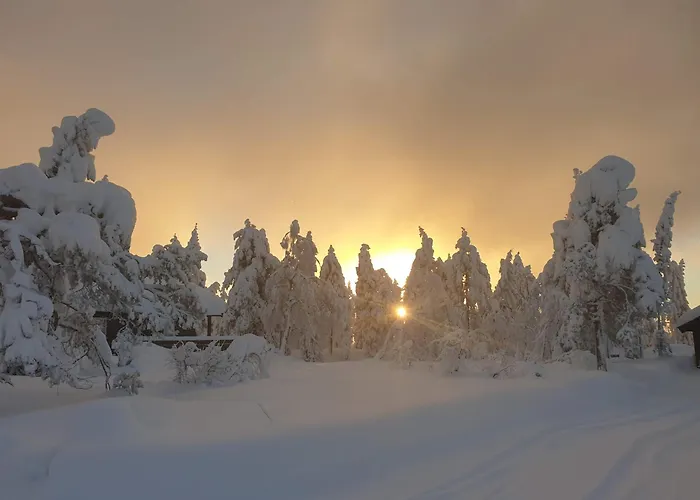 Ro I Sjelen. Hytte Til Leie Pa Skrim.