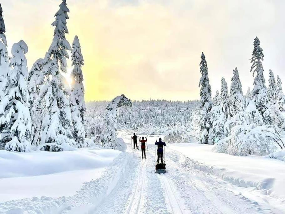 Ro I Sjelen. Til Leie Pa Skrim. Holiday home *