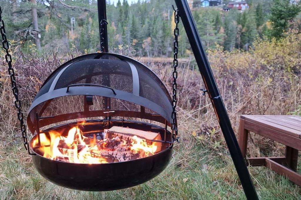 Ro I Sjelen. Til Leie Pa Skrim. * Kongsberg