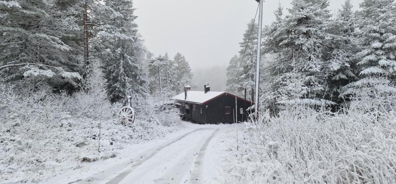 Holiday home Ro I Sjelen. Til Leie Pa Skrim. Kongsberg