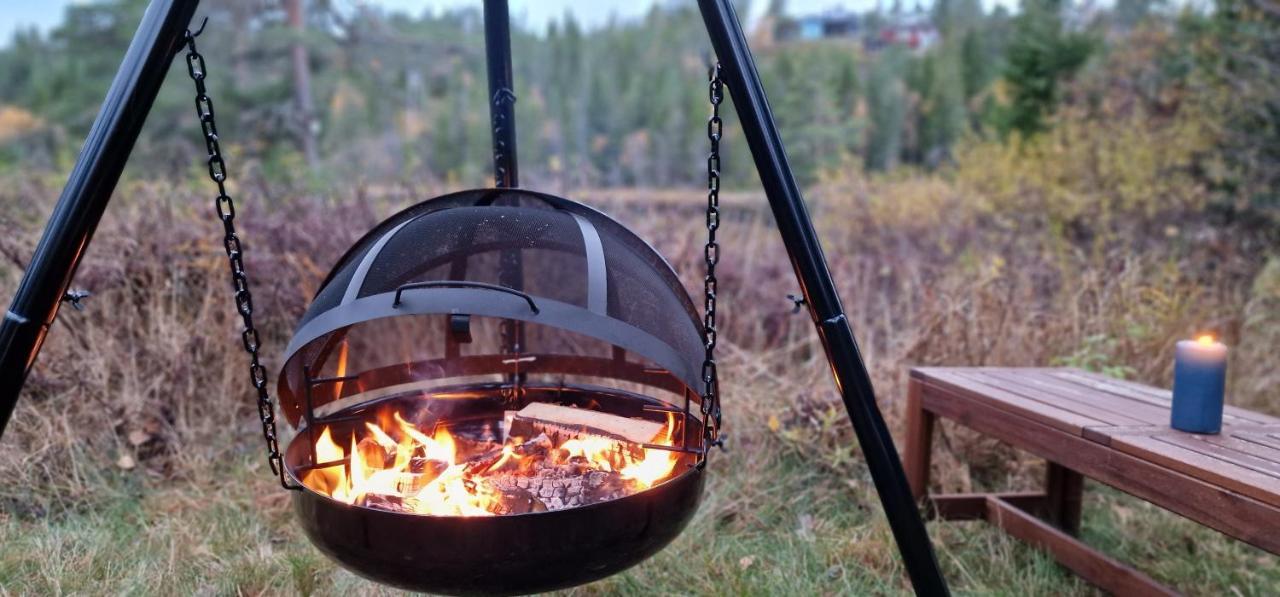 Ro I Sjelen. Til Leie Pa Skrim. * Kongsberg