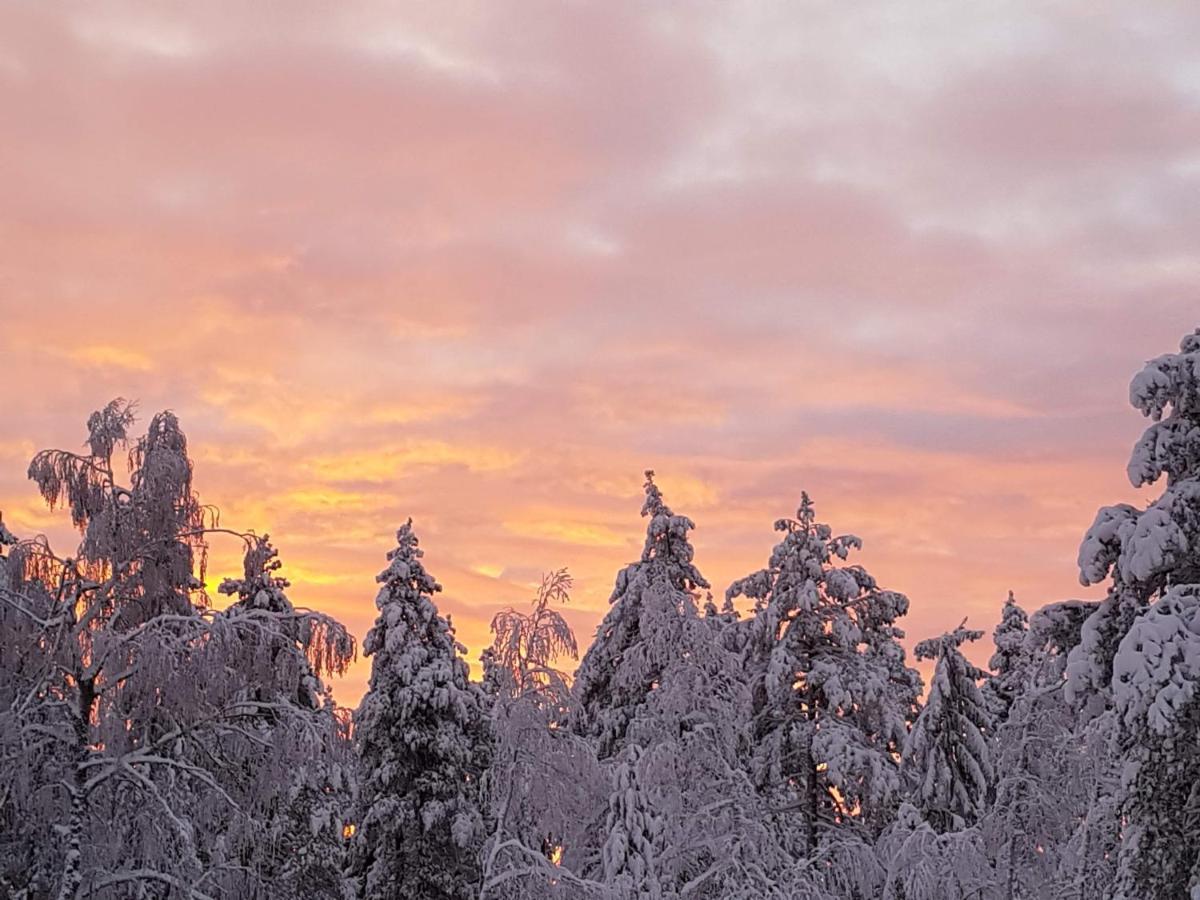Ro I Sjelen. Til Leie Pa Skrim. Kongsberg