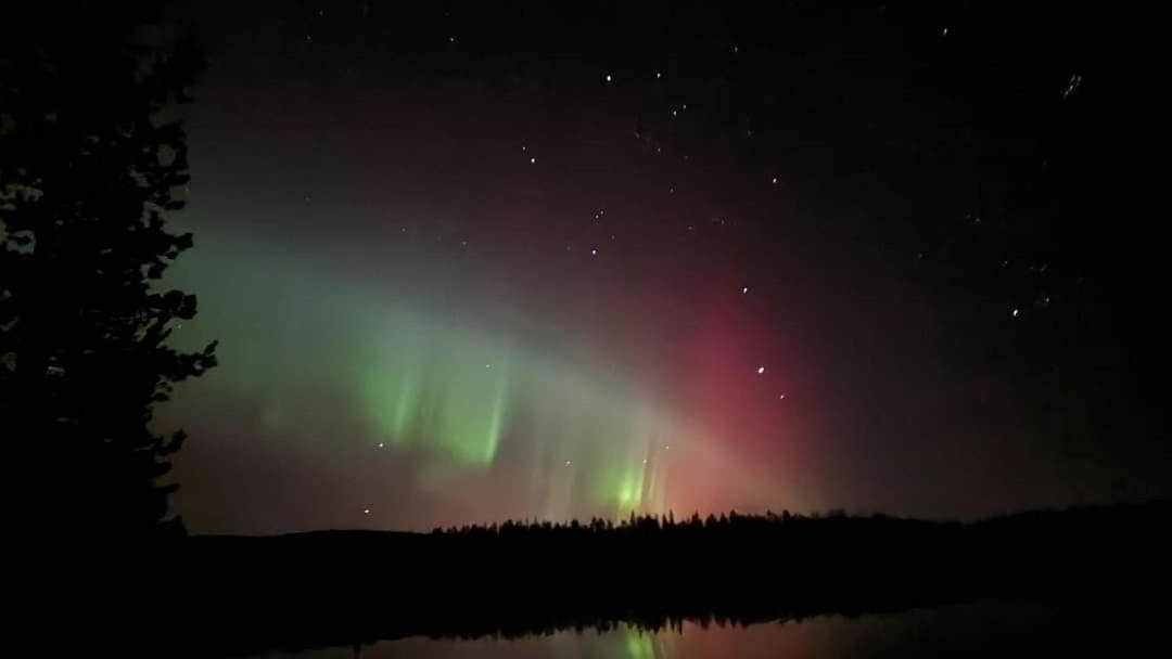 Ro I Sjelen. Til Leie Pa Skrim. * Kongsberg