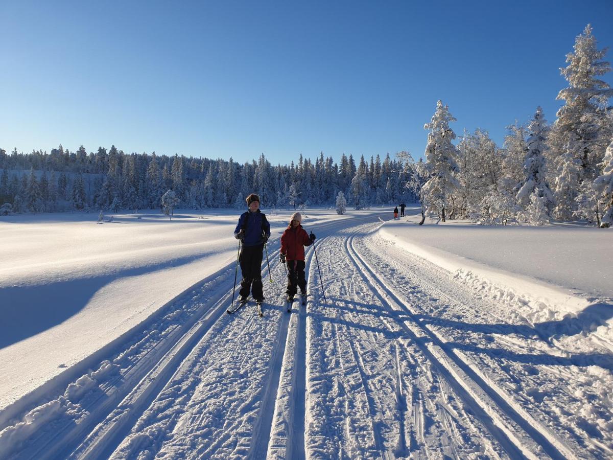 Ro I Sjelen. Til Leie Pa Skrim. * Kongsberg