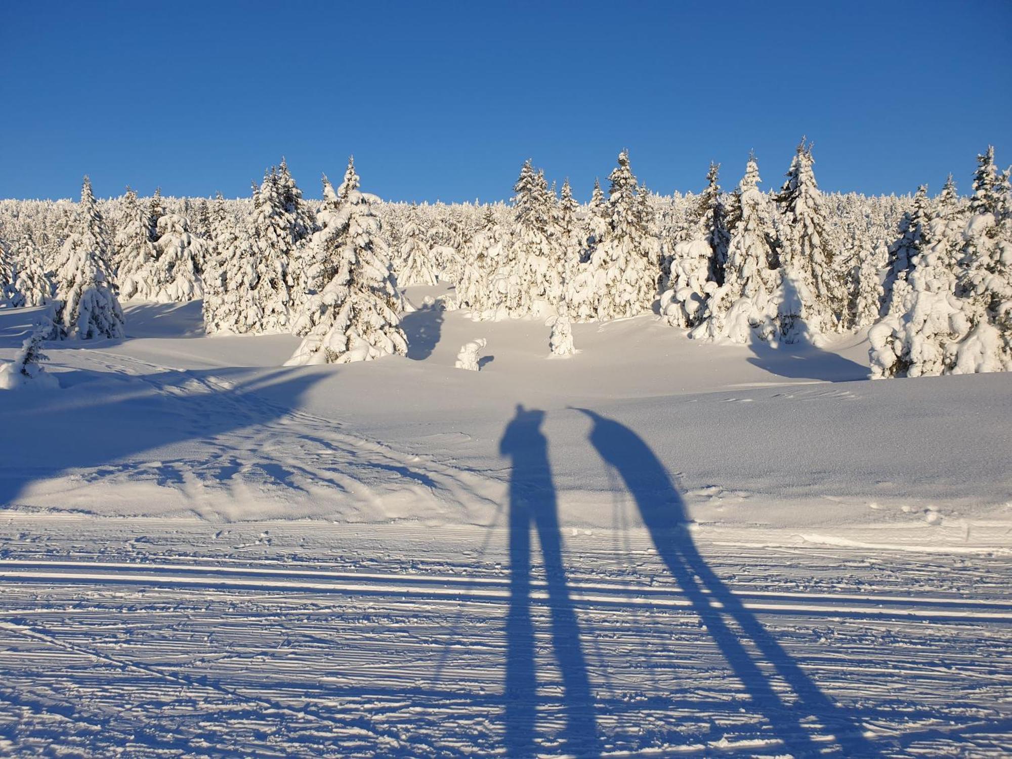Ro I Sjelen. Til Leie Pa Skrim. Holiday home Kongsberg
