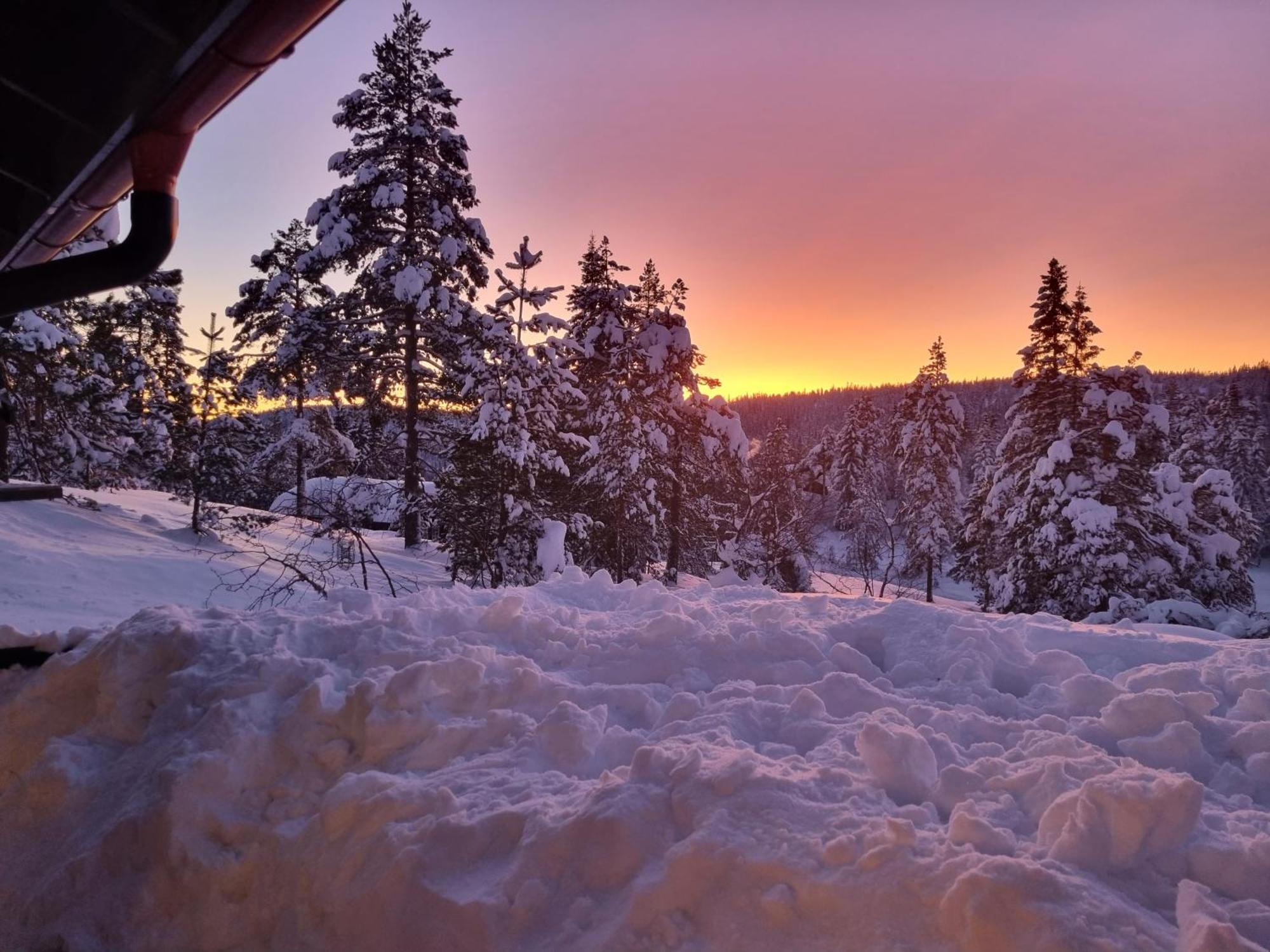 Ro I Sjelen. Til Leie Pa Skrim. Kongsberg