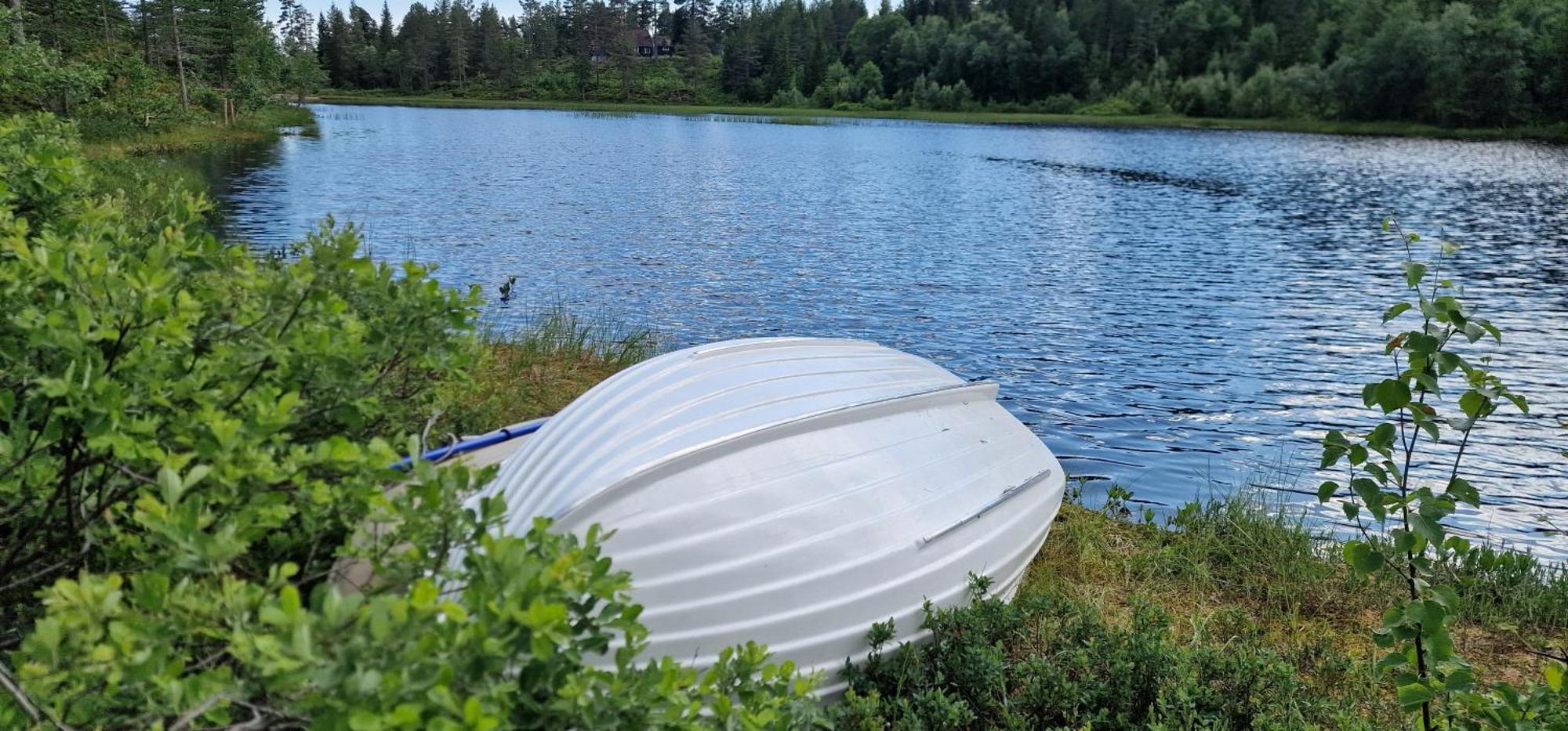 Ro I Sjelen. Til Leie Pa Skrim. *