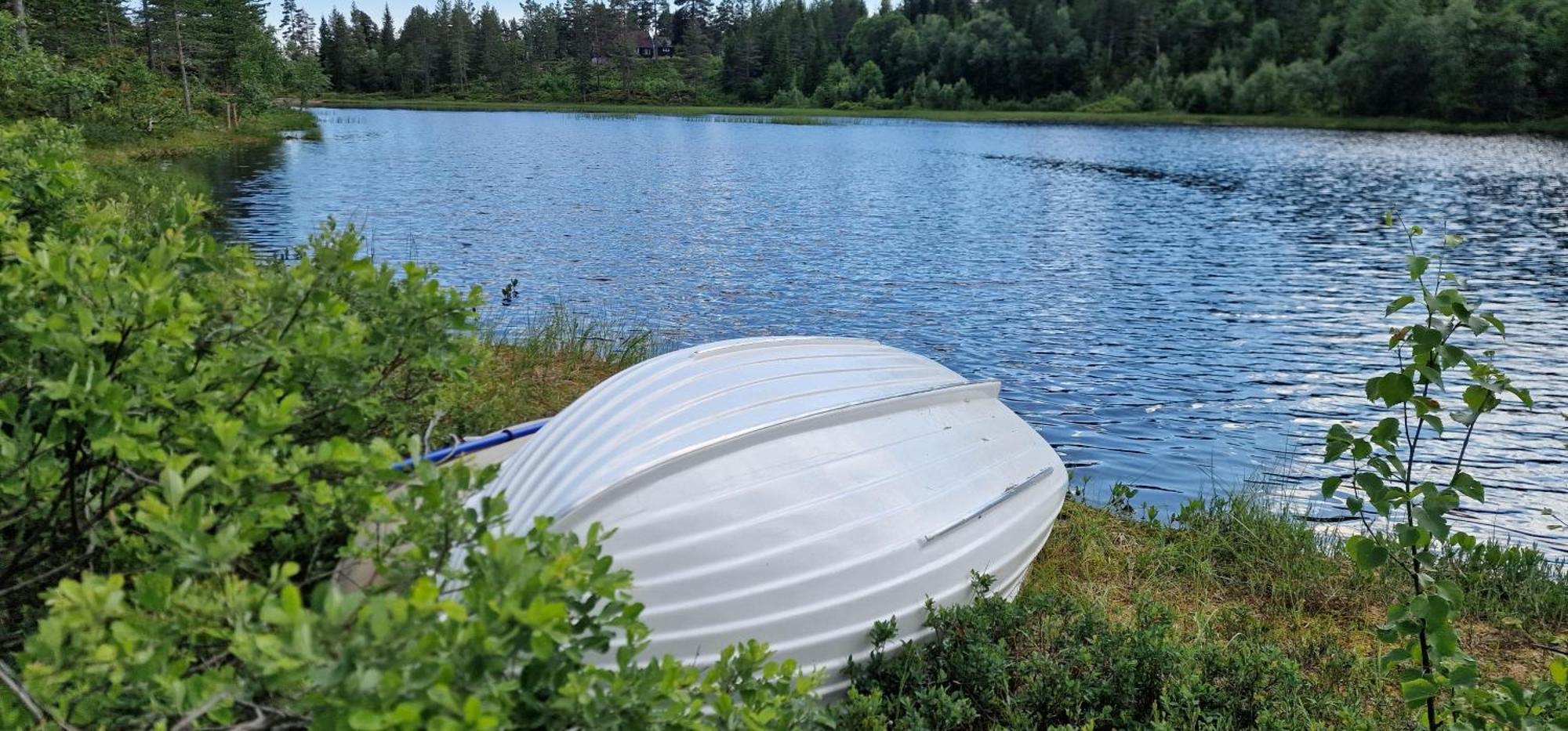 Ro I Sjelen. Til Leie Pa Skrim.